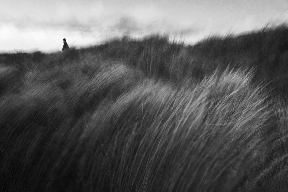 Solitary Figure Windswept Dunes by Roswitha Schleicher-Schwarz — canvas wall art