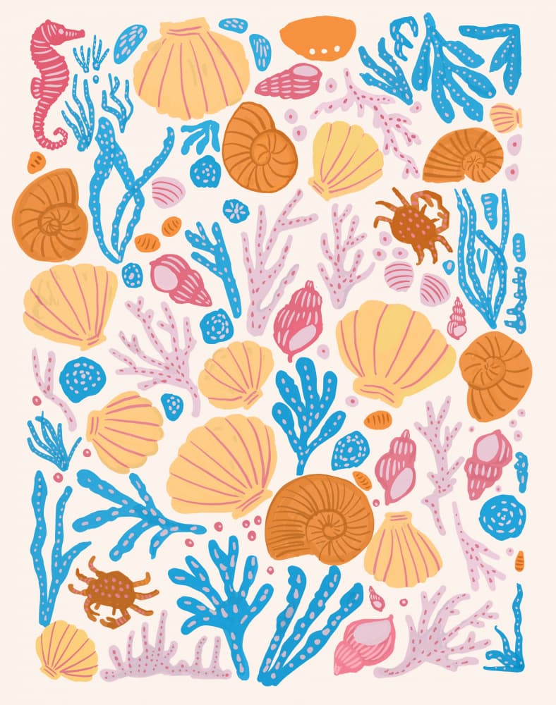 Sea Critters Color On White by Katie O'Shea — canvas wall art
