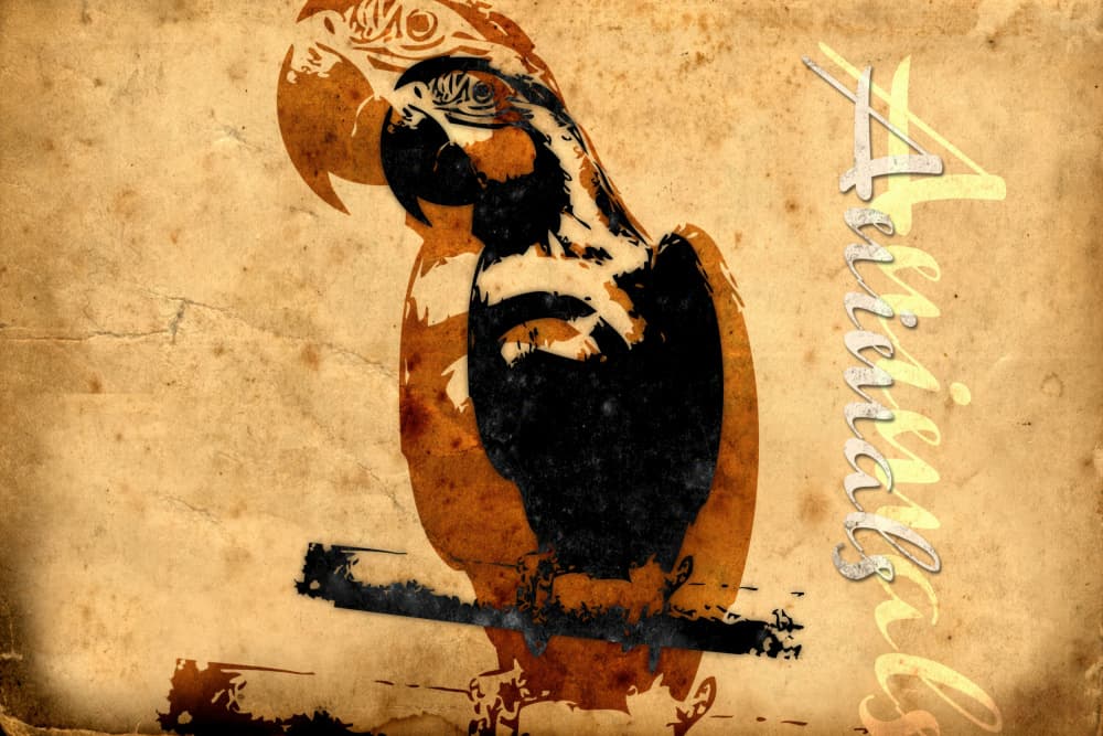 Artistic Sepia Parrot by Rafal Kulik — canvas wall art