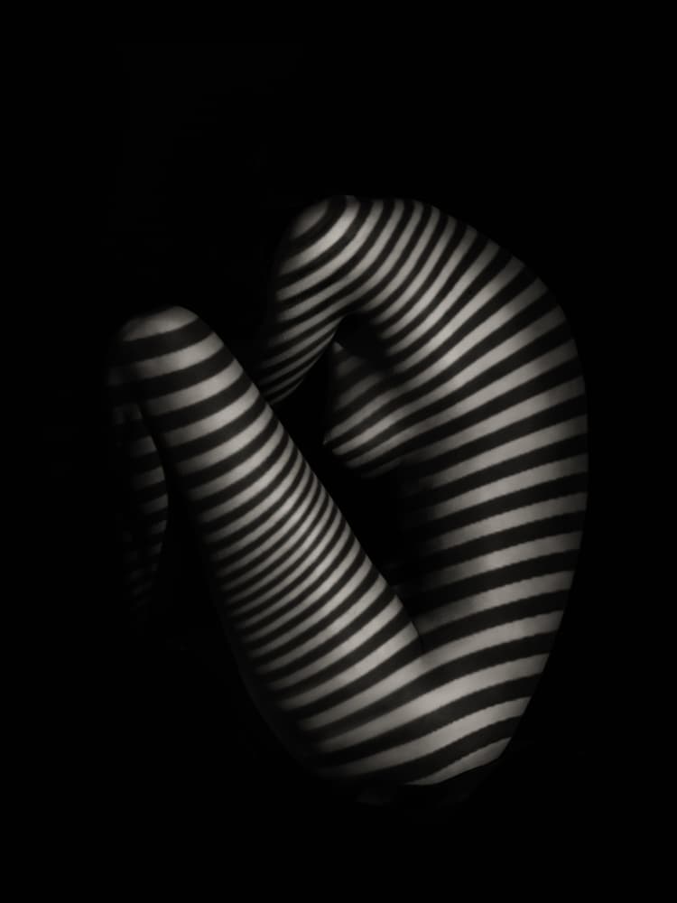 Monochrome Striped Body by AURIMAS VALEVICIUS — canvas wall art