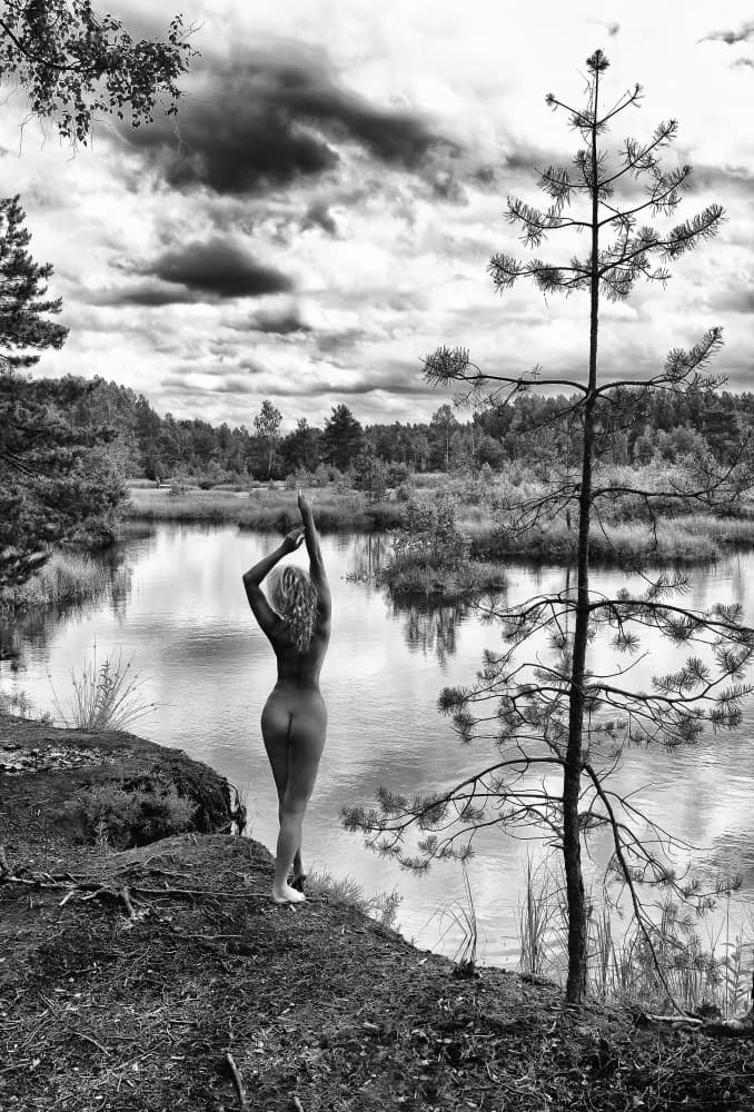 Graceful Nude Forest Lake by Renata Apanaviciene — canvas wall art