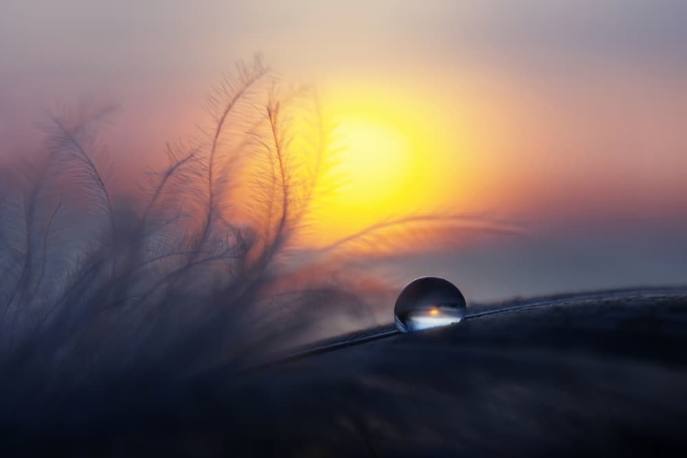 Water Drop Sunset Glow by Peep Loorits — canvas wall art