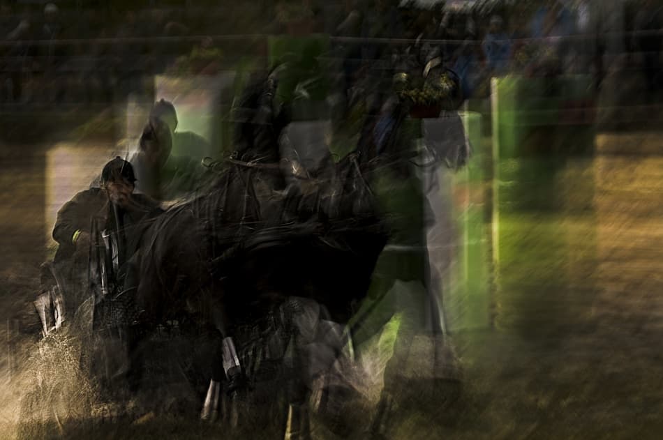 Dynamic Horse Blur by Milan Malovrh — canvas wall art