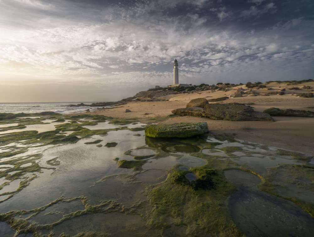 Lighthouse Coast Reflections by Josema Martin Espinar — canvas wall art