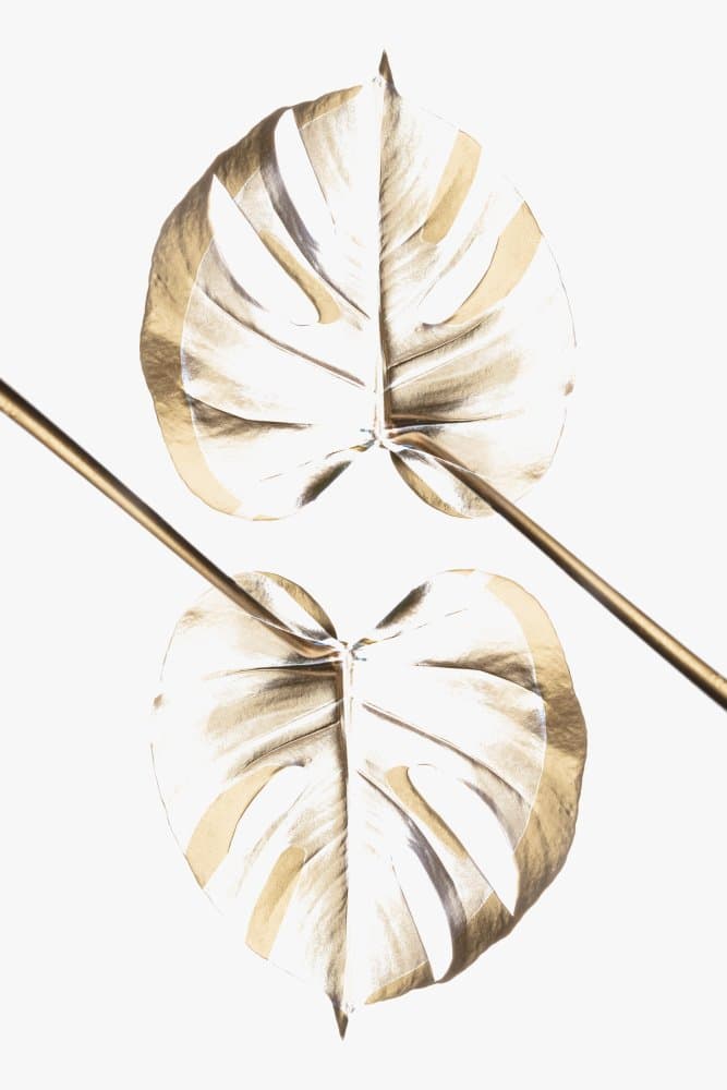 Golden Monstera Leaves by Pictufy Studio III — canvas wall art