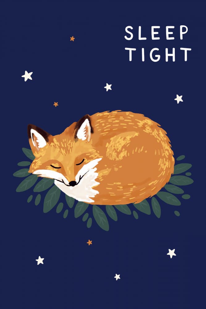 Cozy Sleeping Fox by casa cartissi — canvas wall art