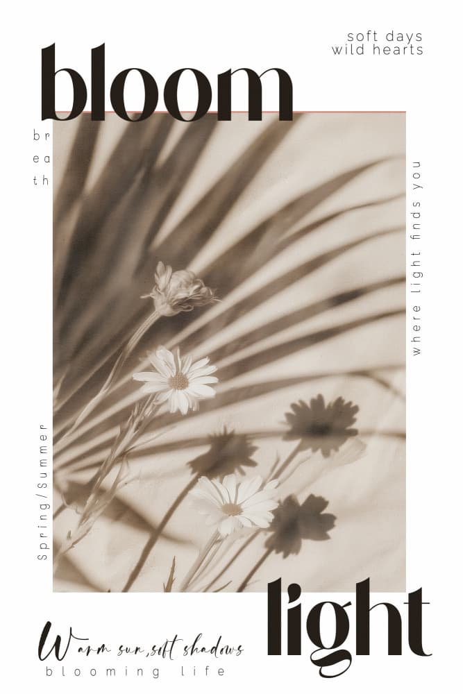 Soft Sepia Daisies by Treechild — canvas wall art