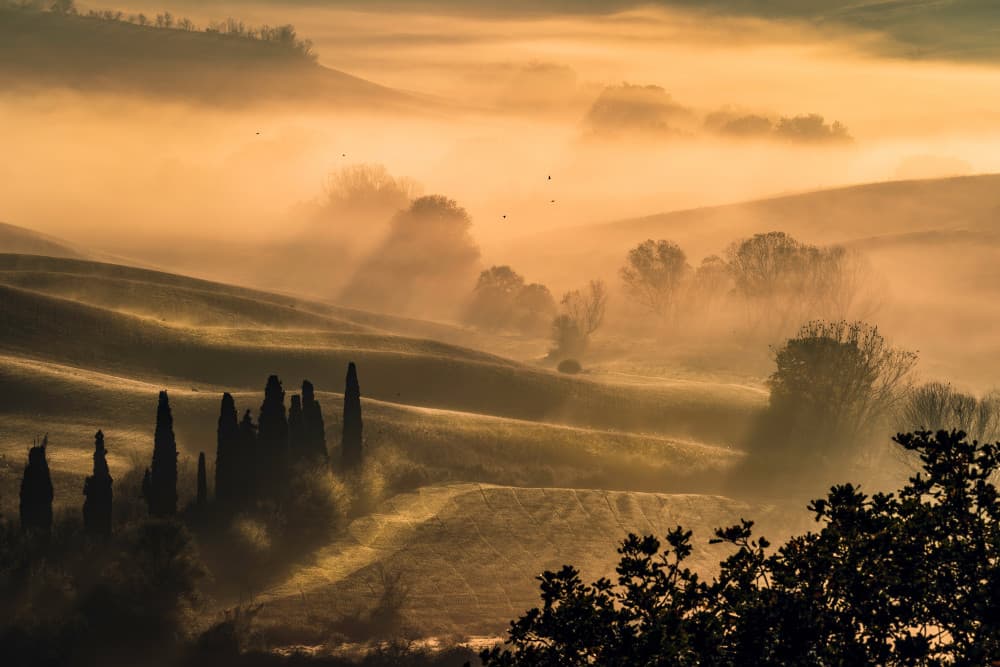 Tuscan Morning Fog by Pamela Doretti — canvas wall art
