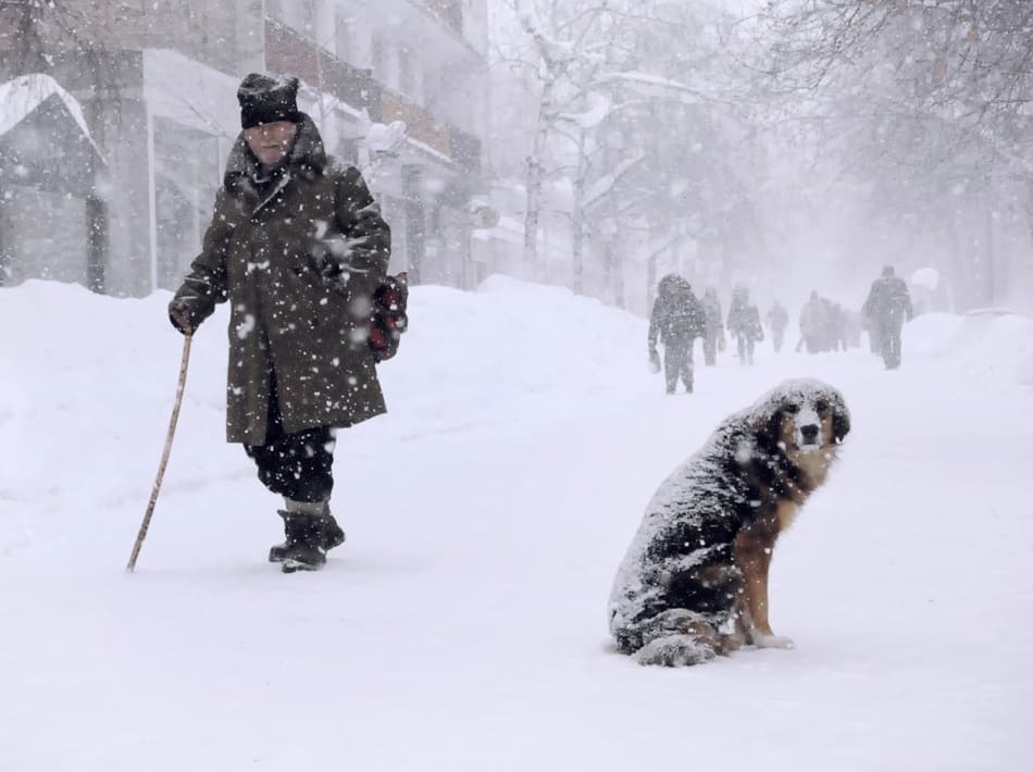 Man And Dog In Blizzard by Stefan Kamenov — canvas wall art