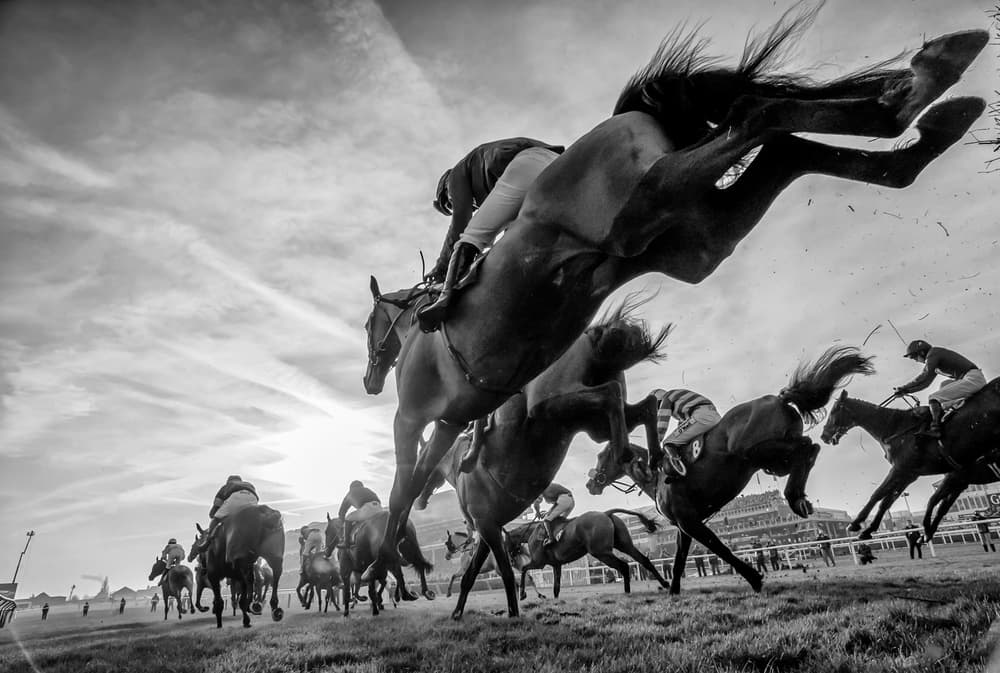 Dramatic Steeplechase Jump by Sharon Lee Chapman — canvas wall art