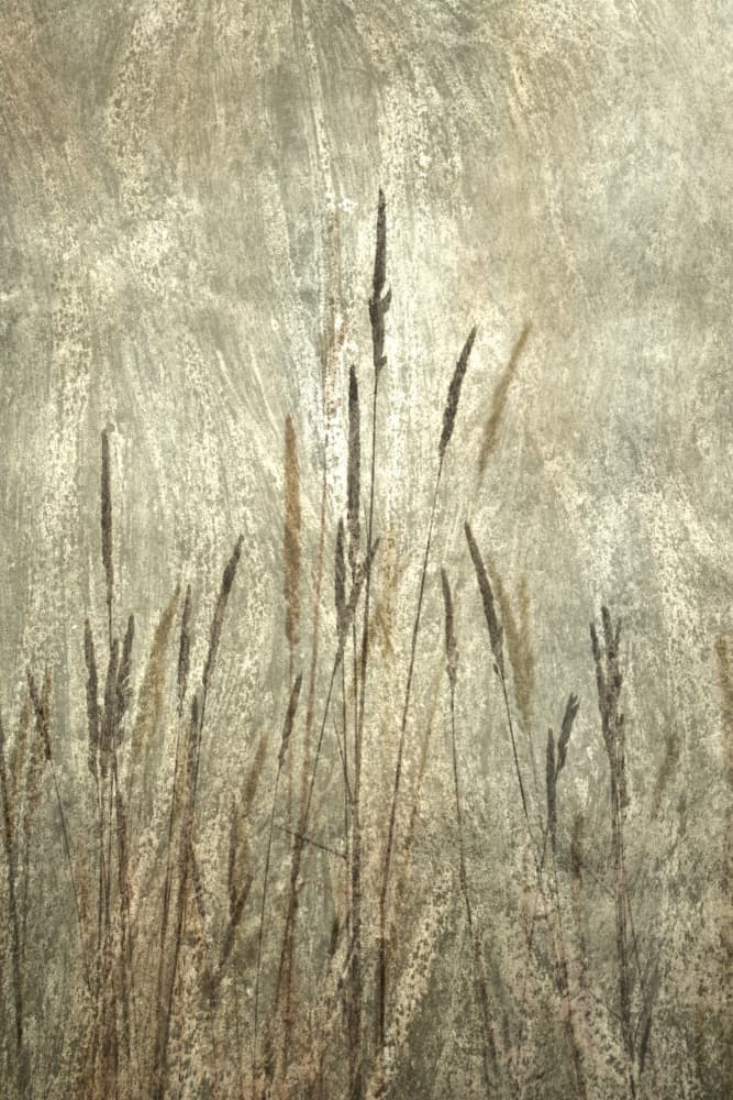 Rustic Tall Grasses by Christina Sillen — canvas wall art