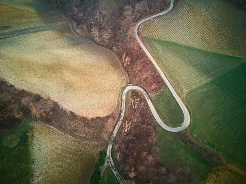 Winding Road Through Fields by Ivan Bertusi — canvas wall art