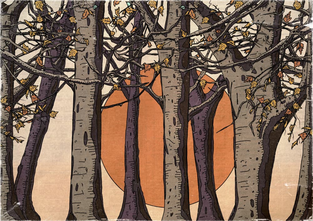 Autumn Forest Sun by Nicholas — canvas wall art