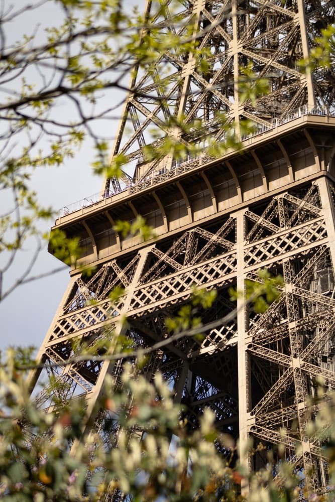 Eiffel Tower Through Spring Leaves by Léa Lefebvre — canvas wall art