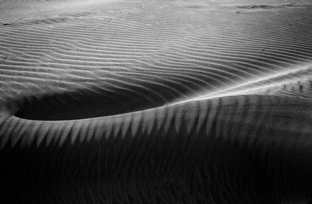 Wind Swept Desert Dunes by Maryse Dardaillon — canvas wall art