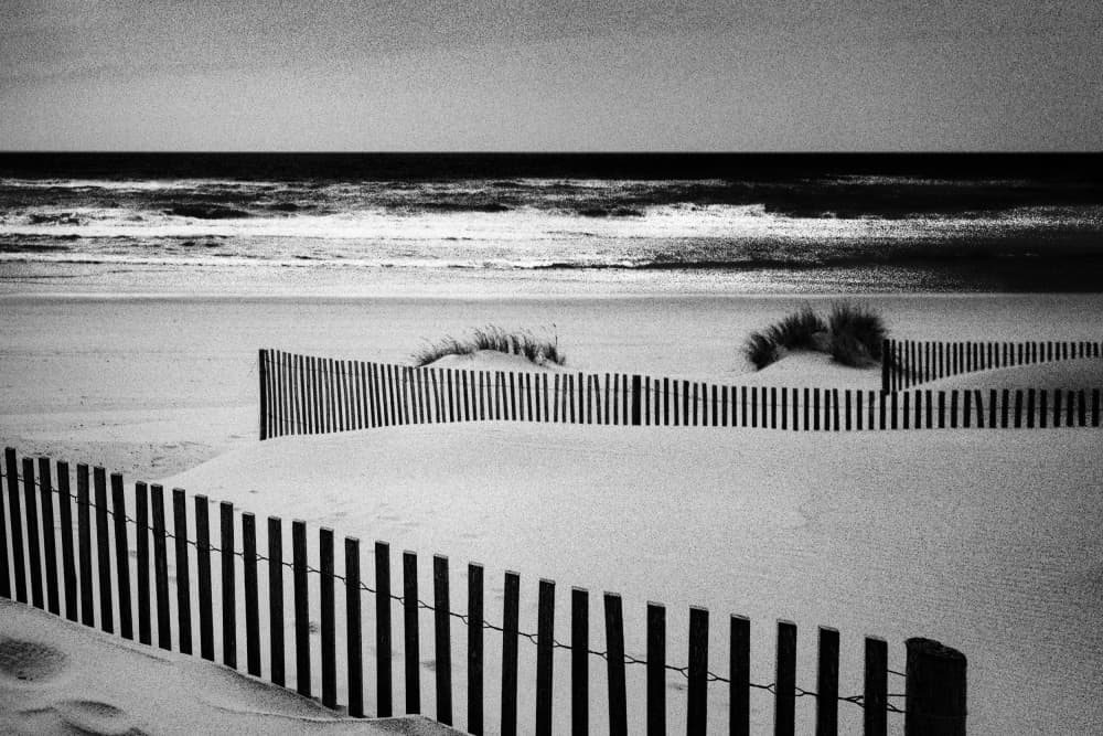 Monochrome Beach Dunes by Paulo Abrantes — canvas wall art