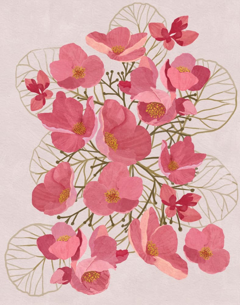 Japanese Quince by Katie O'Shea — canvas wall art