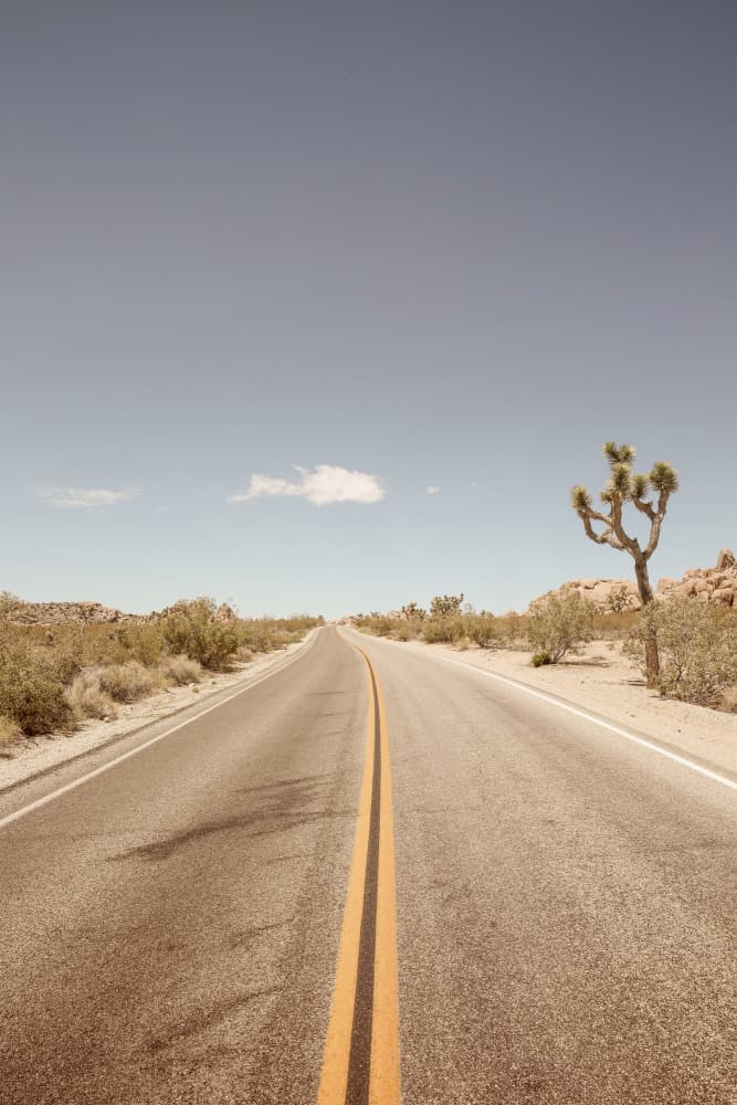 Deserted Highway by Shot by Clint — canvas wall art