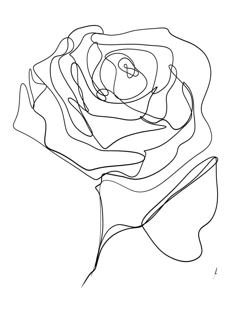 Elegant Line Rose by Ankie Kooi — canvas wall art