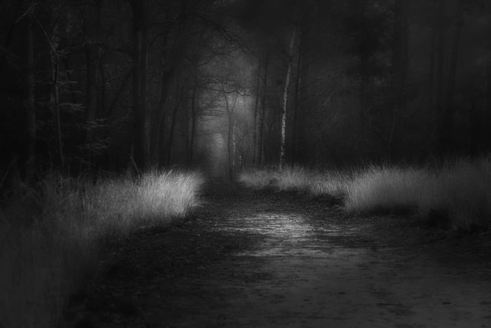 Shades in black by Saskia Dingemans — canvas wall art