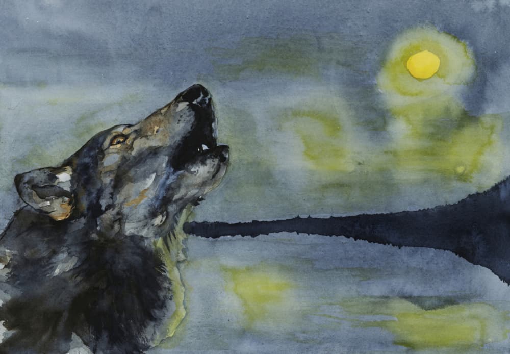 Wolf Howling at Moon by RodMacIver — canvas wall art
