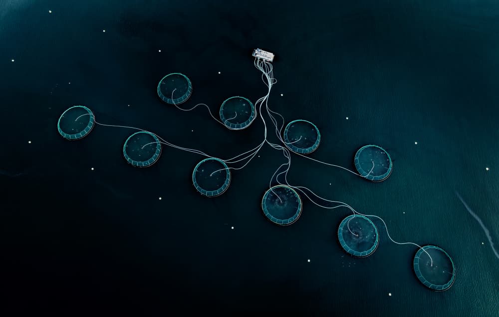 Deep Blue Fish Farm by Wei (David) Dai — canvas wall art