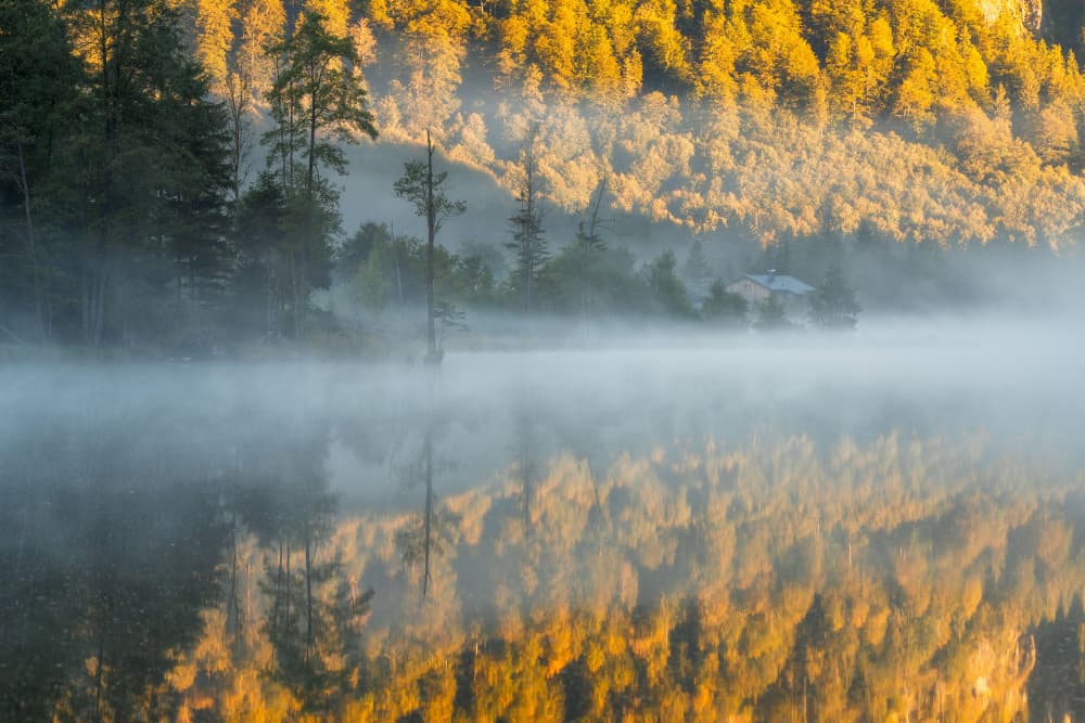 Misty Golden Lake Reflections by Andreea Selagea — canvas wall art