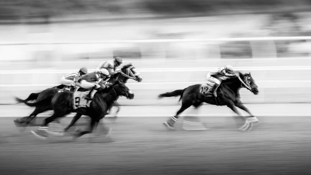 Galloping Racehorses Speed by Steven Zhou — canvas wall art