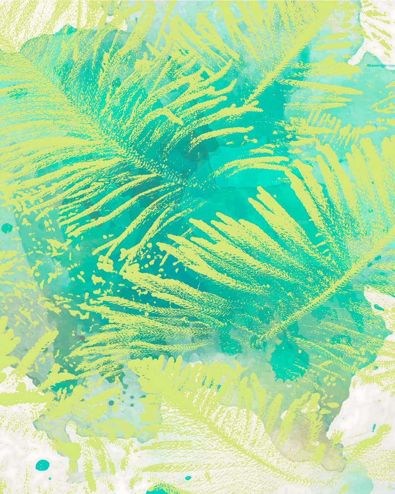 Vibrant Tropical Ferns by Uma Gokhale — canvas wall art