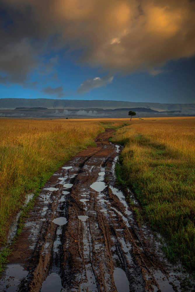 Muddy Road Golden Sky by Isam Telhami — canvas wall art
