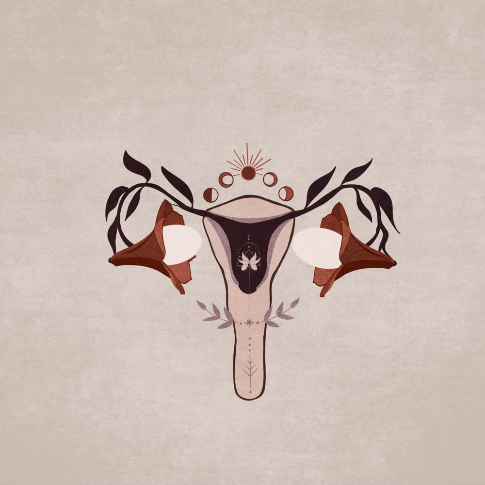 Floral Anatomy by Emel Tunaboylu — canvas wall art