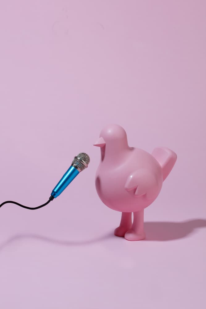 Pink Bird Sings by Julia Ramiro — canvas wall art
