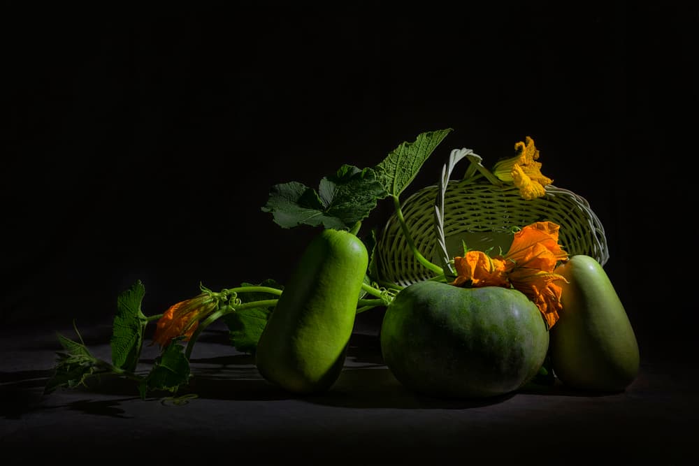 Vibrant Harvest Still Life by Lydia Jacobs — canvas wall art