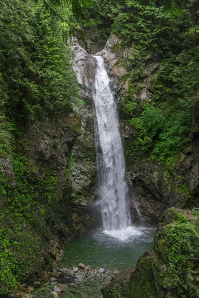 Emerald Forest Waterfall by Lynann Colligan — canvas wall art