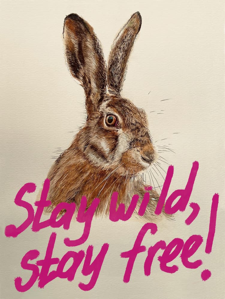 Stay Wild Stay Free Hare by Marina Kozyr — canvas wall art