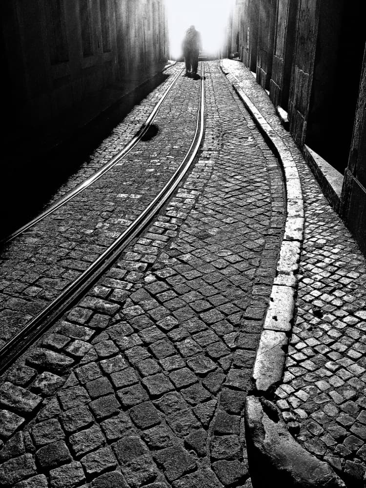 Solitary Path Light by BJ Yang — canvas wall art