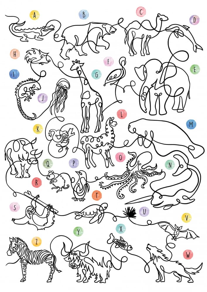 Animal Alphabet Line Art by Hanna Lee Tidd — canvas wall art