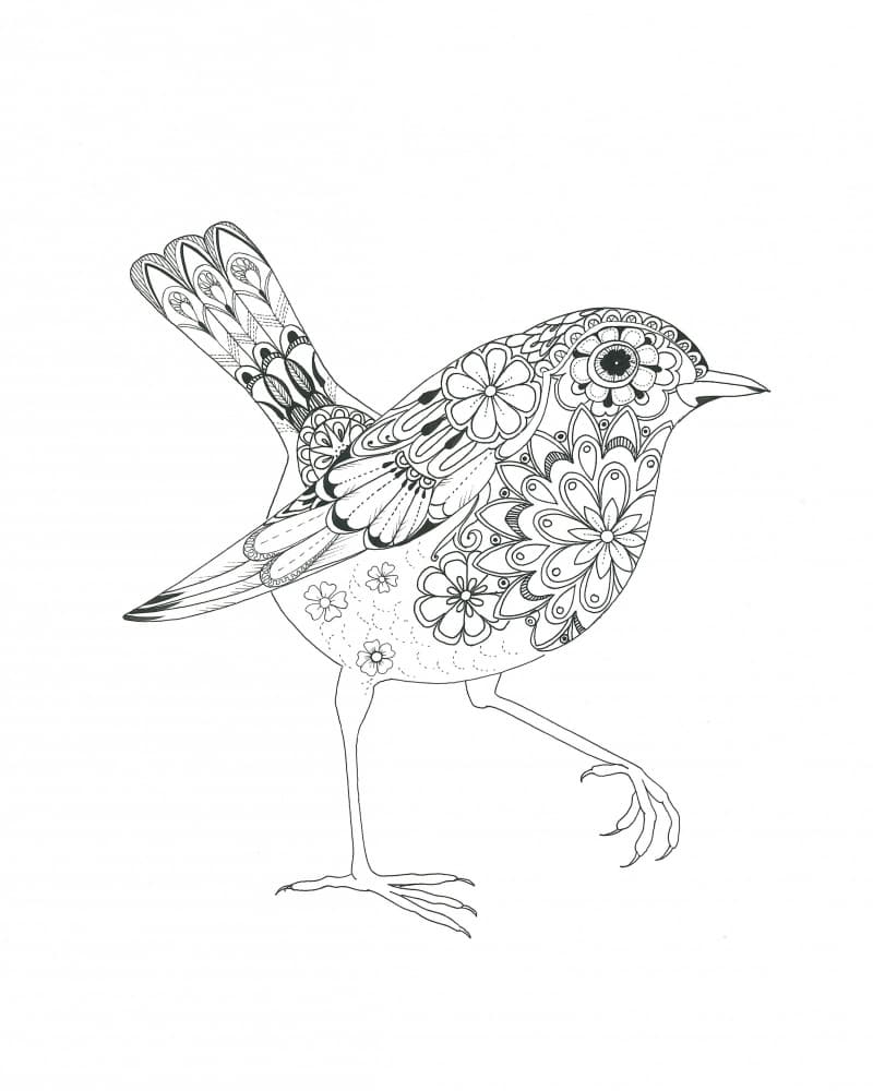 Flowered Bird Robin