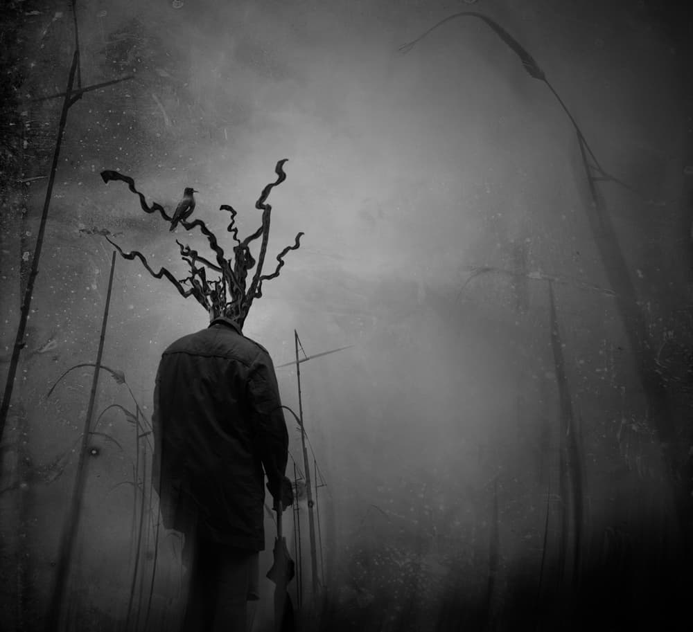Mysterious Branch Head by Hari Sulistiawan — canvas wall art