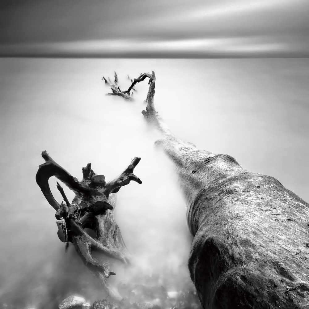 Misty Driftwood Serenity by Marek Kijevský — canvas wall art