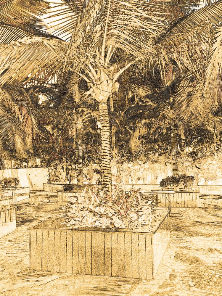 Tropical Garden Sketch by Santhosh ch — canvas wall art