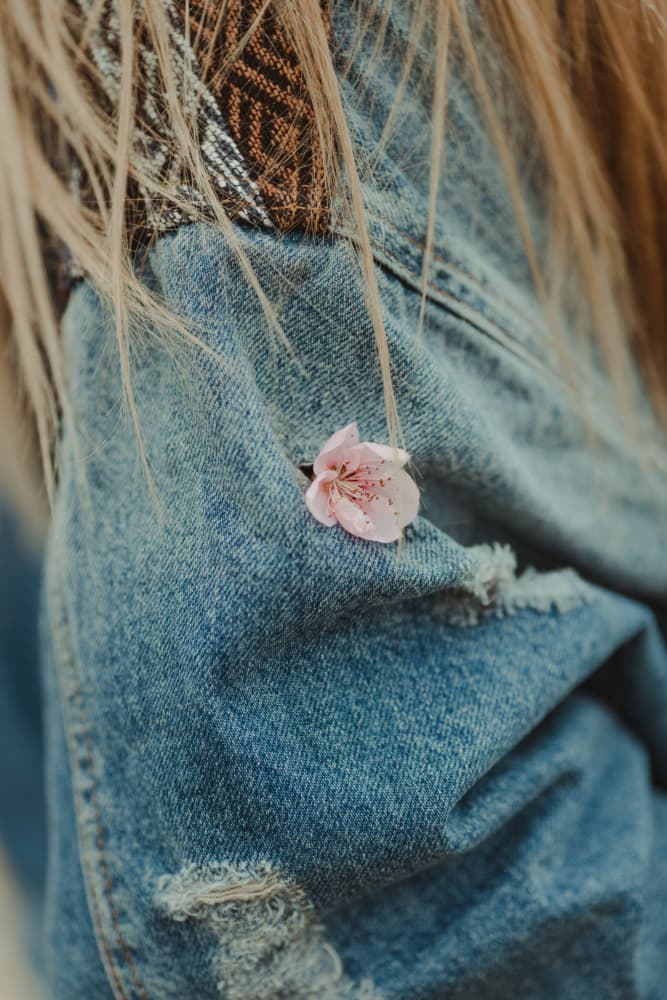 Denim And Pink Blossom by Javier Pardina — canvas wall art
