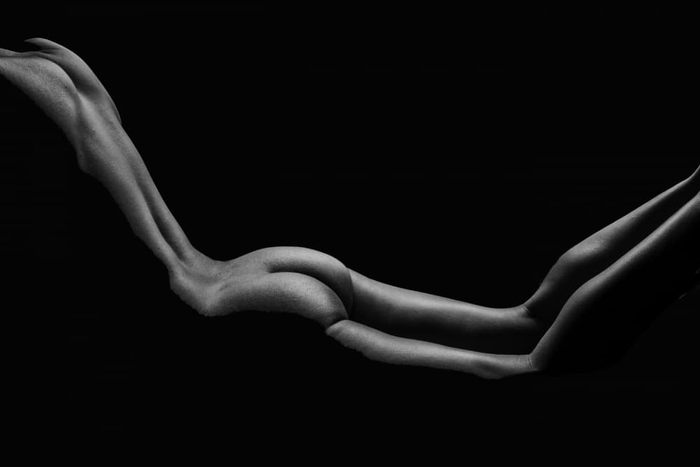 Graceful Body Curves by PARTHA BHATTACHARYYA — canvas wall art