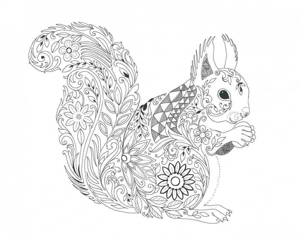 Ornate Squirrel Design