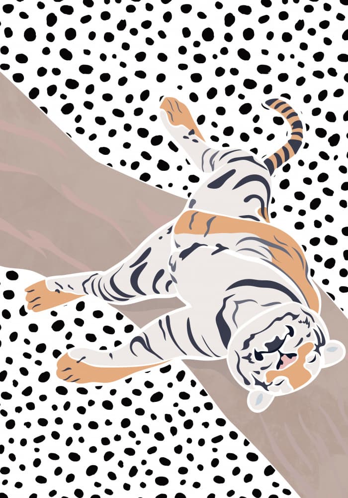 Relaxed White Tiger by Sarah Manovski — canvas wall art