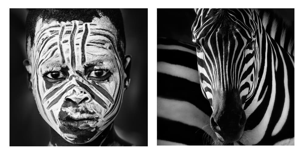 Zebra And Child by Jose Beut — canvas wall art