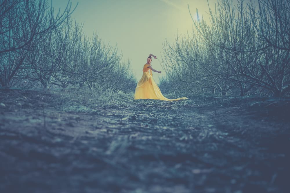 Mysterious Golden Gown by Sharon Levy — canvas wall art