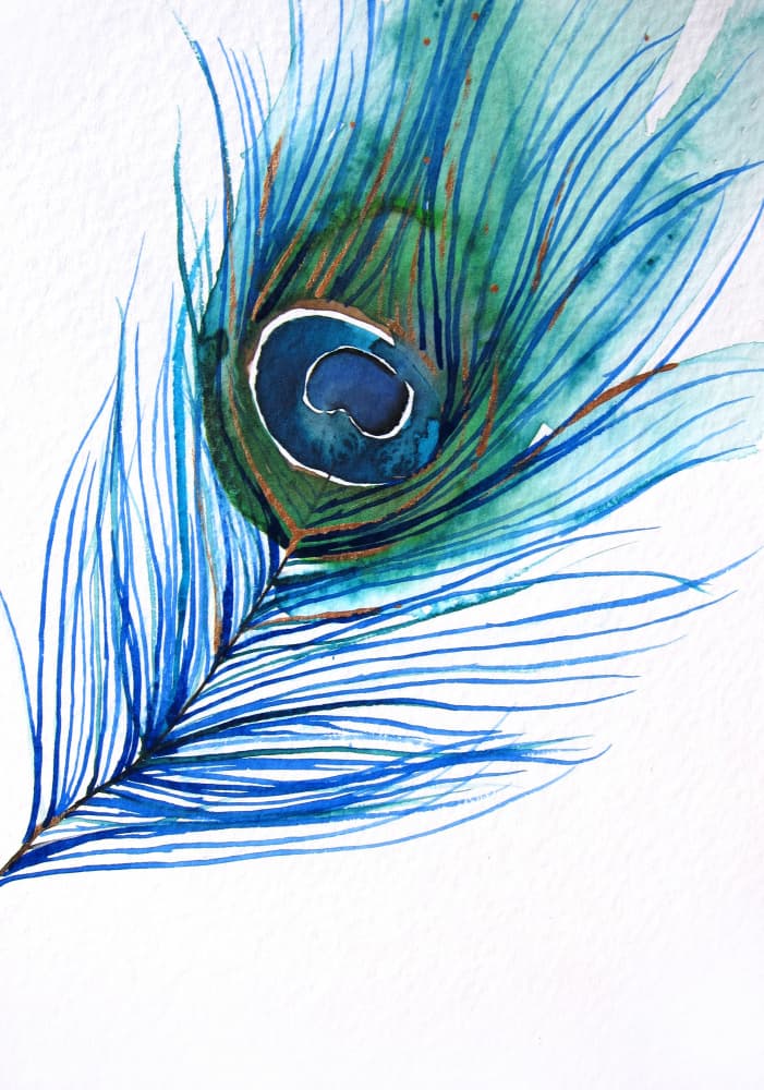 Vibrant Peacock Feather by Christine Lindstrom — canvas wall art