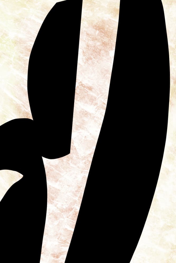 Elegant Black Curves by cartissi — canvas wall art