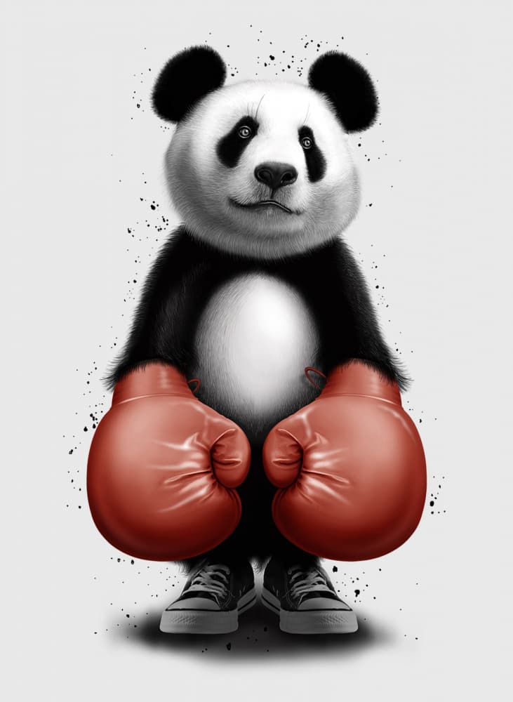 Panda Boxer by Adam Lawless — canvas wall art